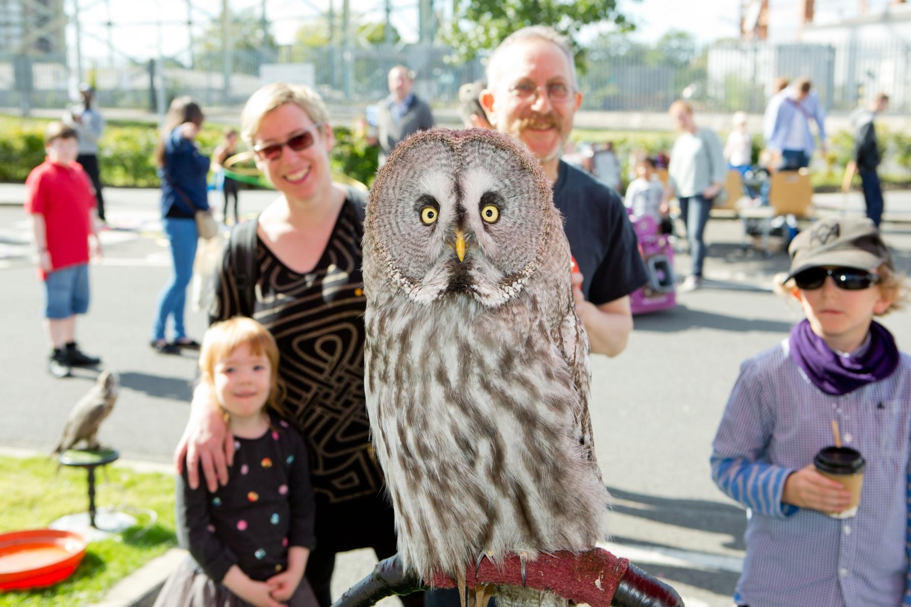 Wild bird display